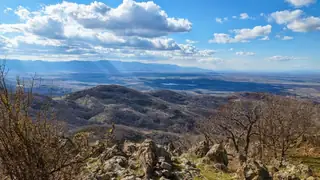 Връх Драгойна