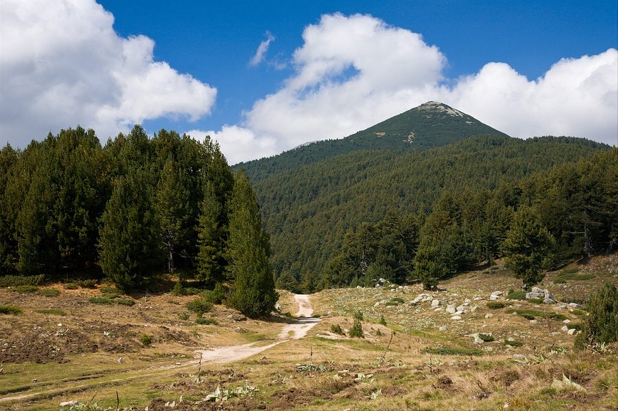 Бойков връх - Пирин