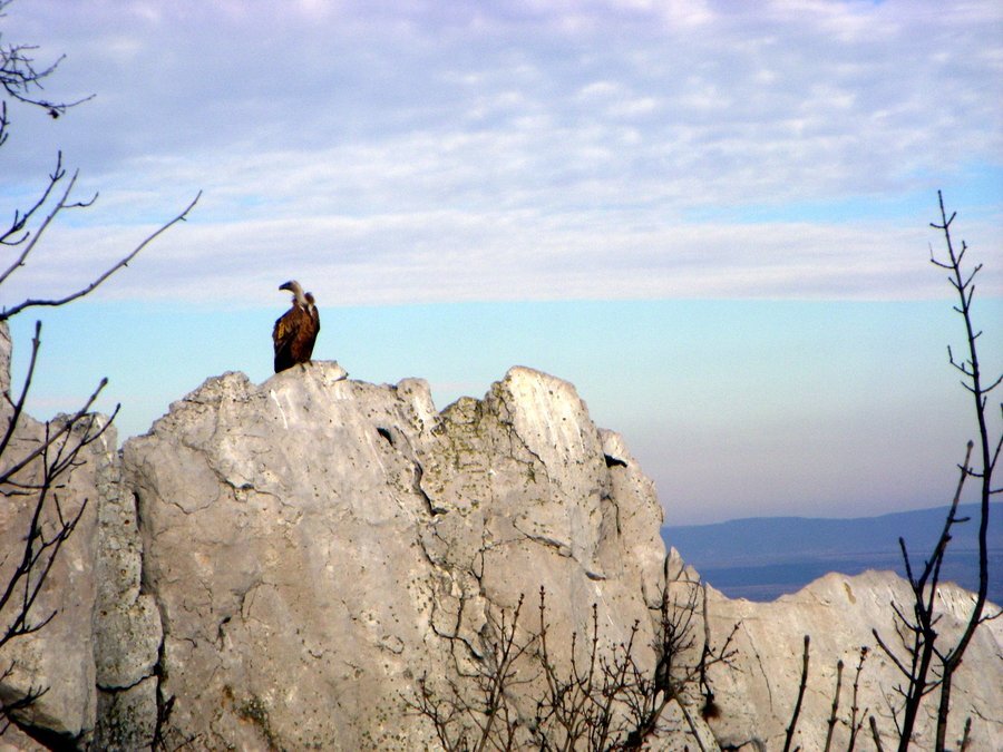 "Урушки скали" - Котел