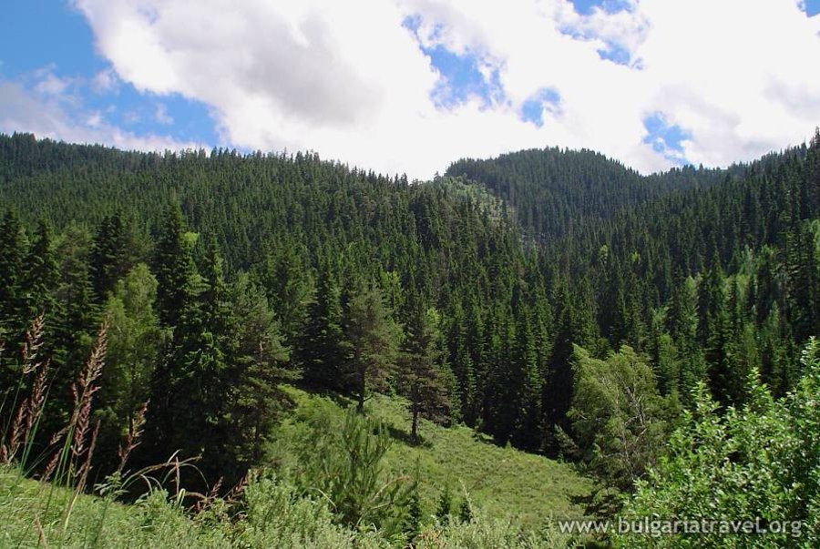 Резерват "Парангалица"