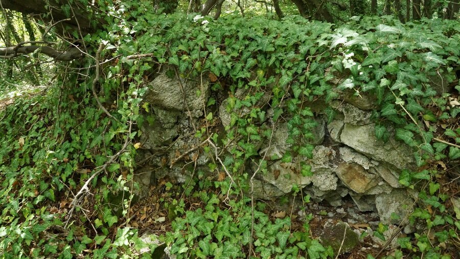 Крепост Градището - Ветрен