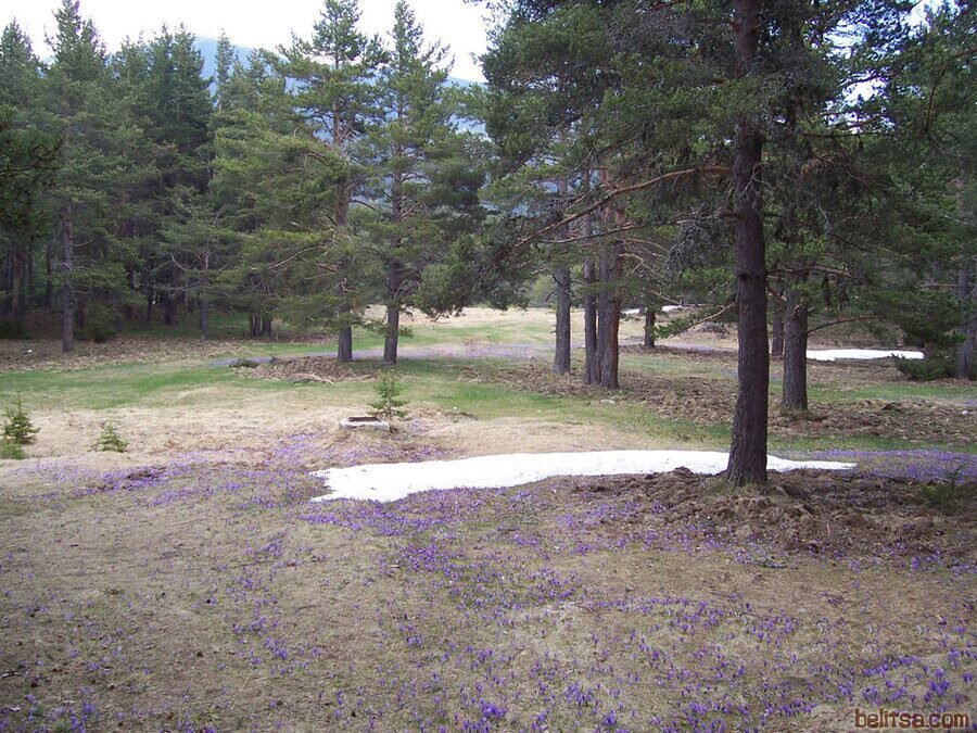 Екопътека "Властелинът на планините"