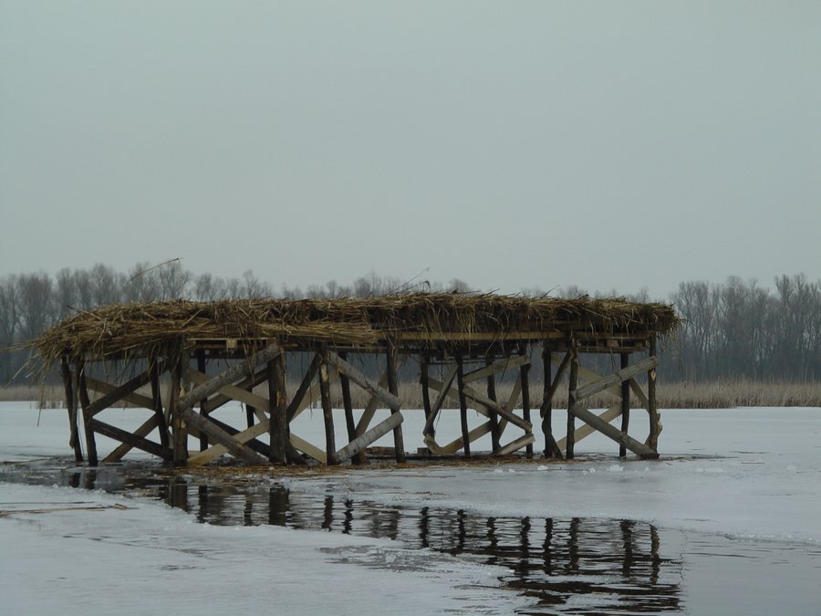 Персински блата