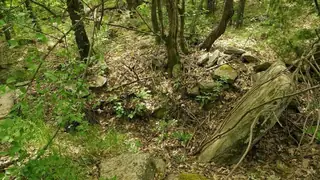 Долмени - Черничево