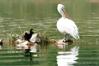 Защитена местност Шабленско езеро