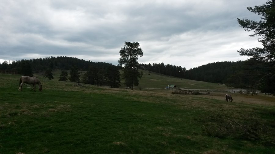 Хижа "Лисичево"