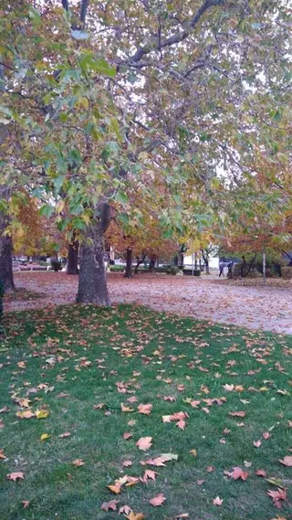 Попската градинка - Сливен