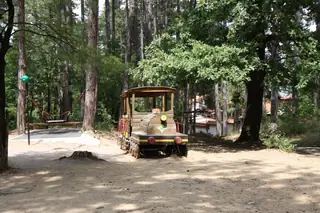 Лесопарк Хисарлъка - Кюстендил