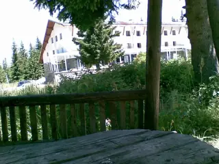 Хижа "Звездица" - парк Витоша