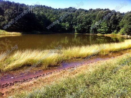 Езеро Синовище - Деветаки