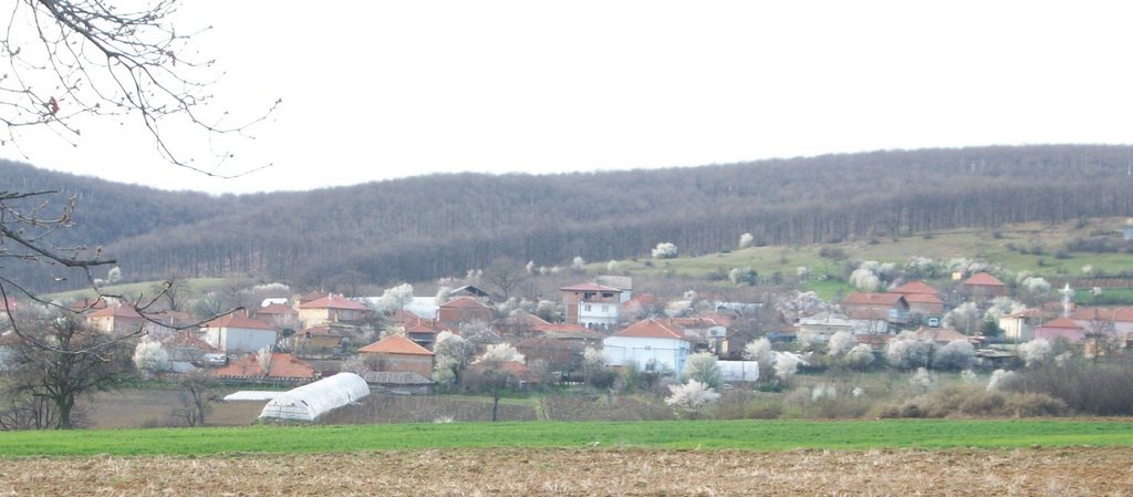 Черна могила