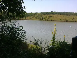 Язовир "Яза" - Расово