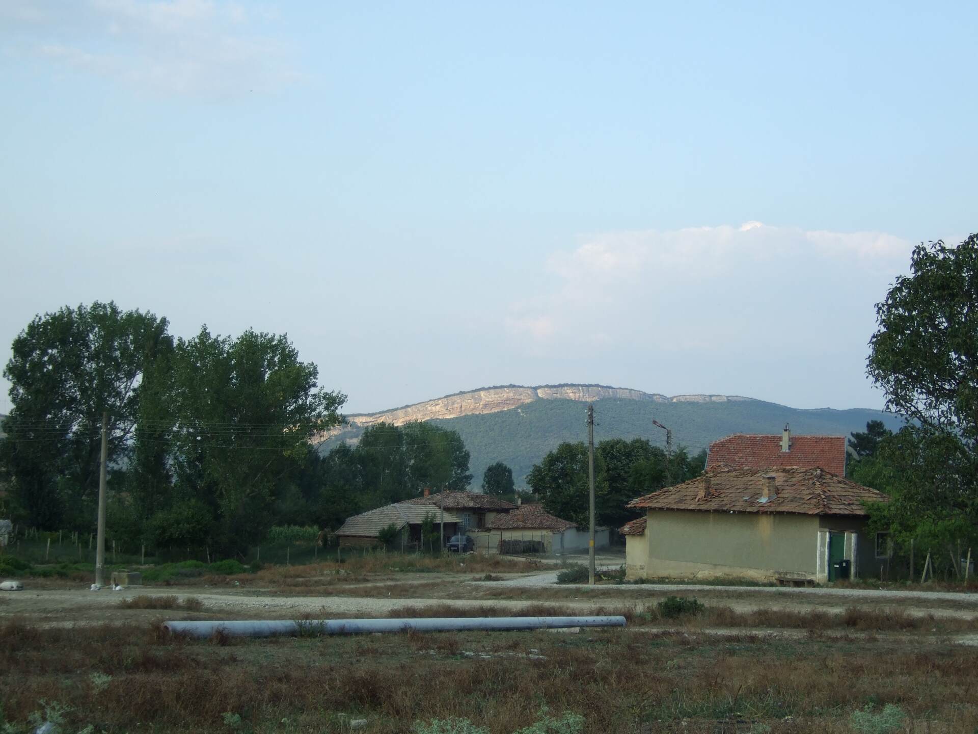 Партизани