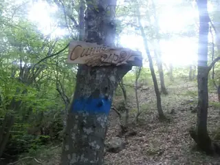 "Синия вир" - Сливен