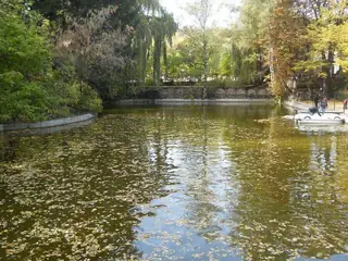 Езерото в Централния парк - Перник