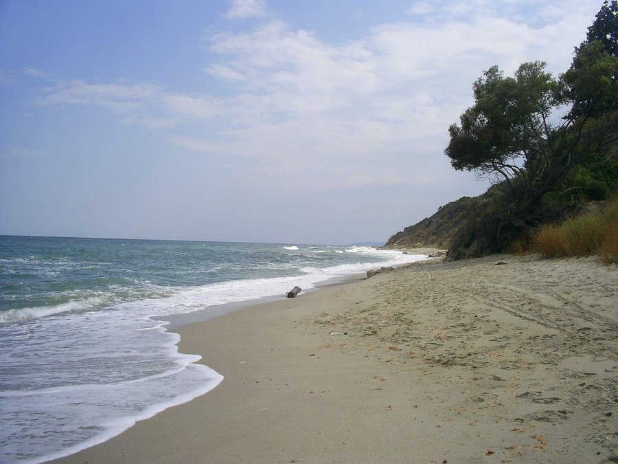 Местност "Паша дере"