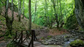 Екопътека "Под пръските на водопада" - Тетевен