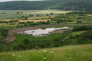 Гарванско блато