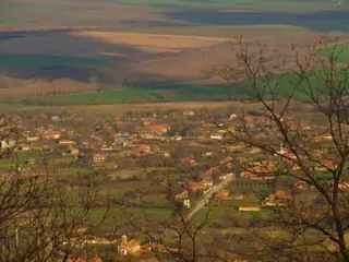 Защитена местност "Славейкова гора"