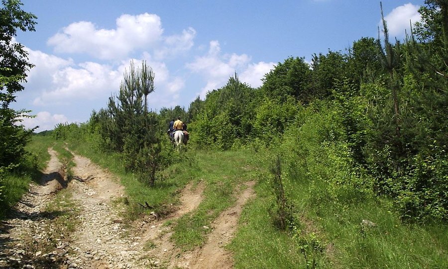 Конен маршрут "Следотърсачи в природата"