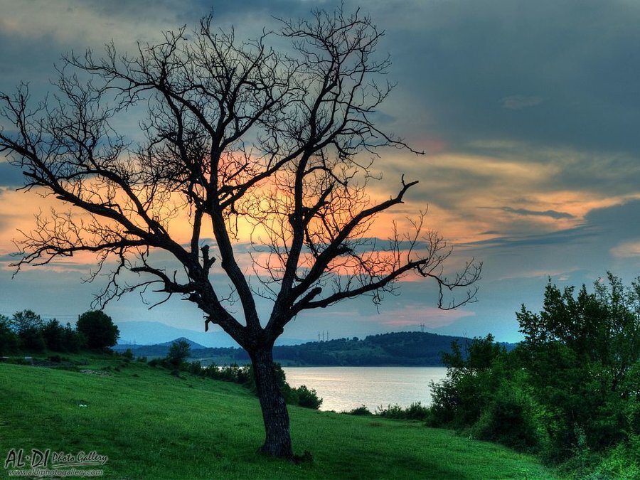 Язовир "Домлян"