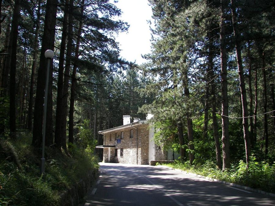 Хижа "Бели брези"