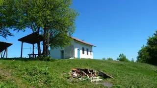 Връх Брънкова китка