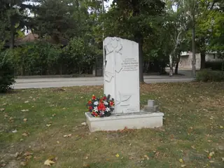 Паметник на Вълчо Вълчев - Видин