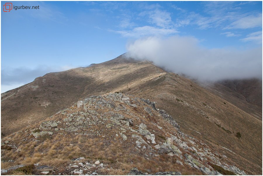 Връх Малък Полич