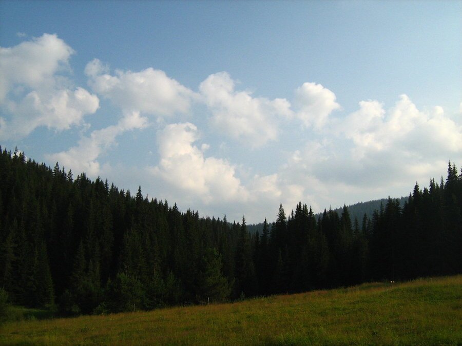 Защитена местност "Беглика"