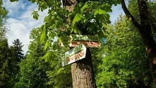 Екопътека "Иванчова поляна" и водопад "Райски кът"