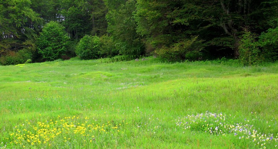 Исторически маршрут "По стъпките на Ботевата чета"