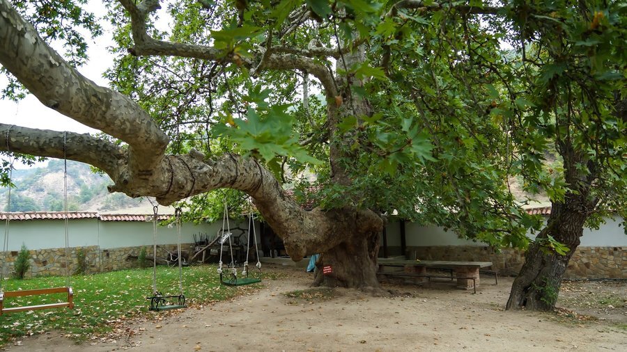 Църква "Св. Георги" - Златолист