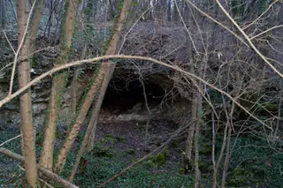 Бонинска пещера - Крушуна