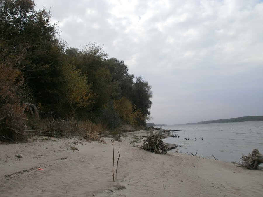 Защитена местност "Калимок-Бръшлен"