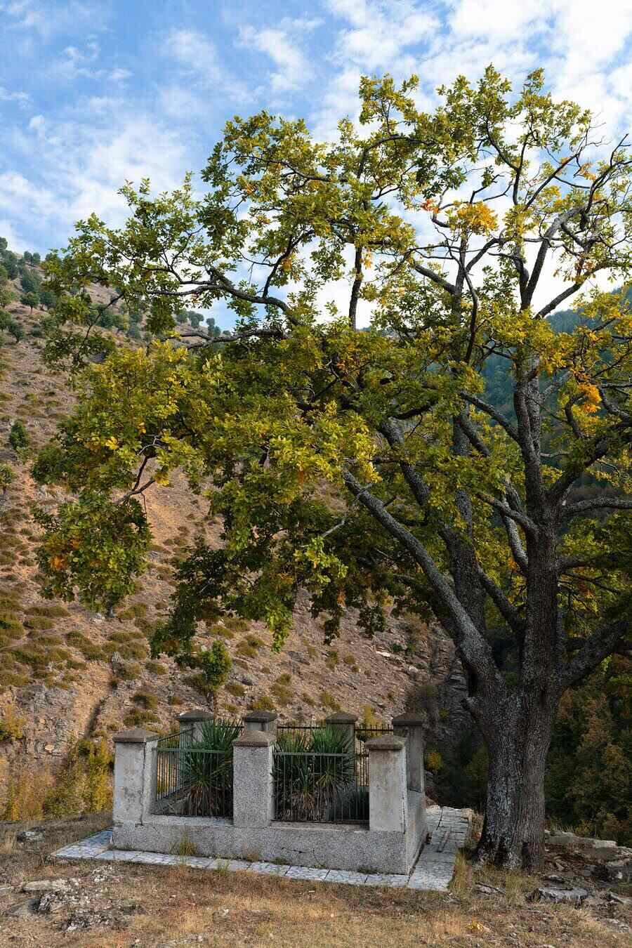 Местност Манушов гроб - Долна Рибница