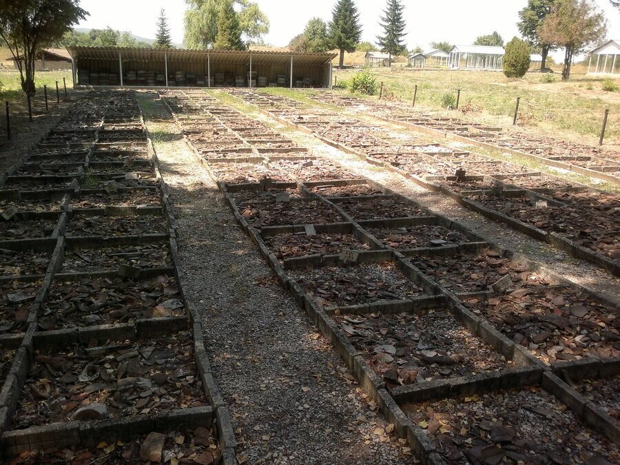 Античен керамичен център "Вила Рустика" - Павликени