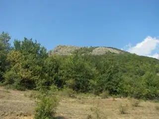 Връх Джелеве - Перуника