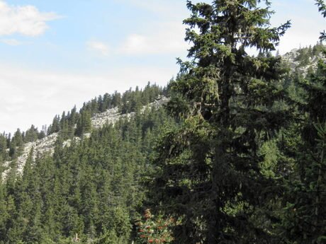 Биосферен резерват "Чупрене"