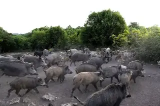 Екопарк Геранеа