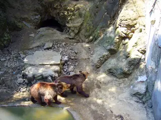 Зоопарк - Айтос