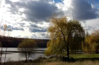 Язовир "Балова шума"