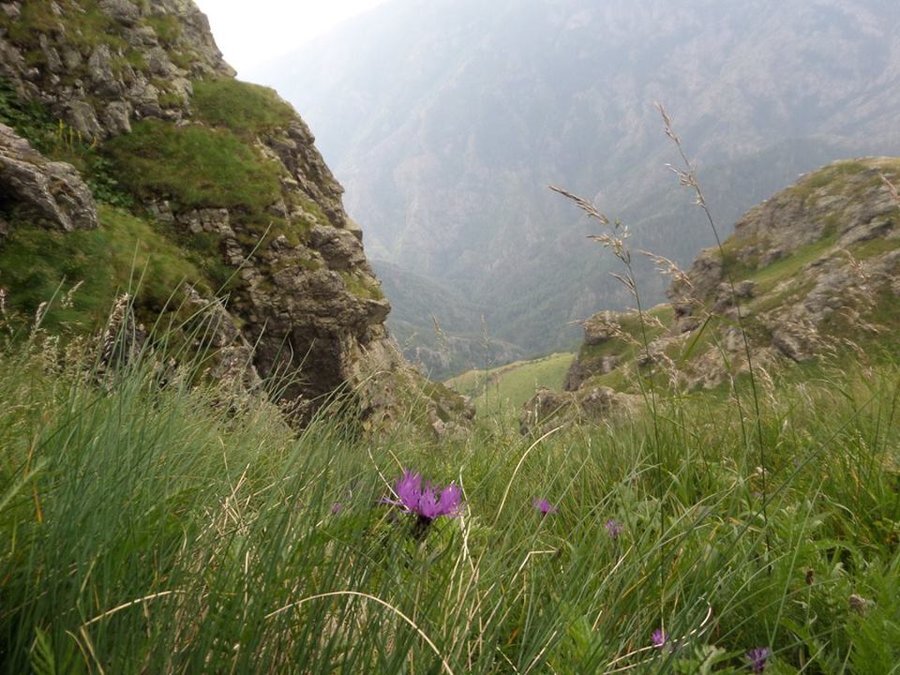 Резерват "Джендема"