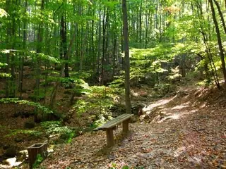 Екопътека "Градище-Кметовци"