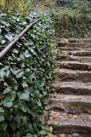 Дряновска екопътека - Дряново