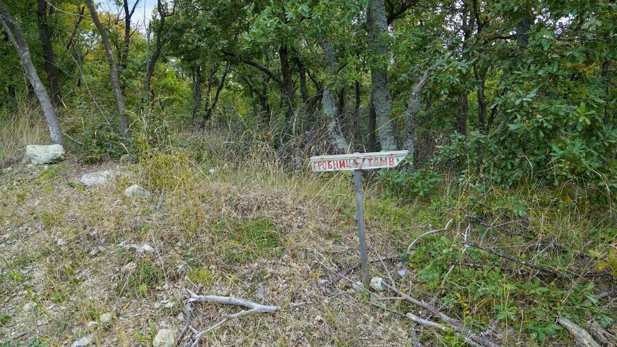 Тракийска гробница - връх Шейновец