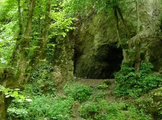 Защитена територия "Босна" - Младежко