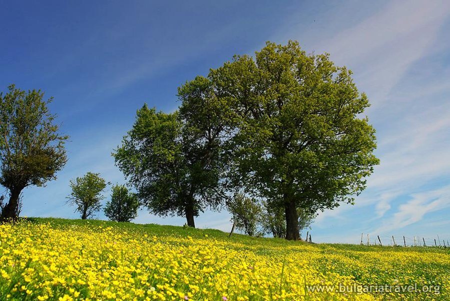 Природен парк "Странджа"