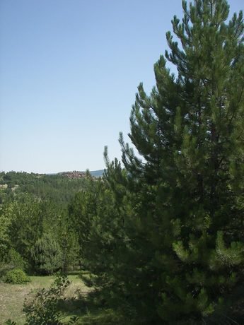 Поддържан резерват "Боровец" - Равен