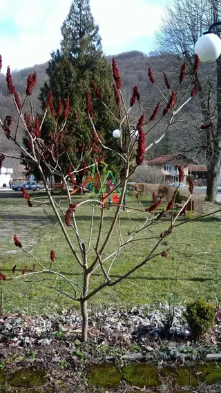 Парк - с.Рибарица